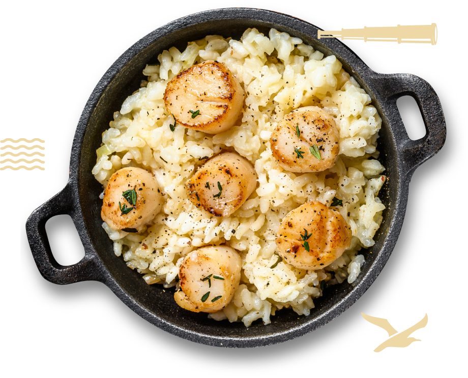 plat présentation pétoncles